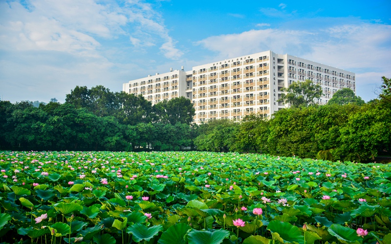 广东信息工程职业学院校园风景