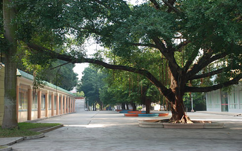 湛江幼儿师范专科学校校园风景