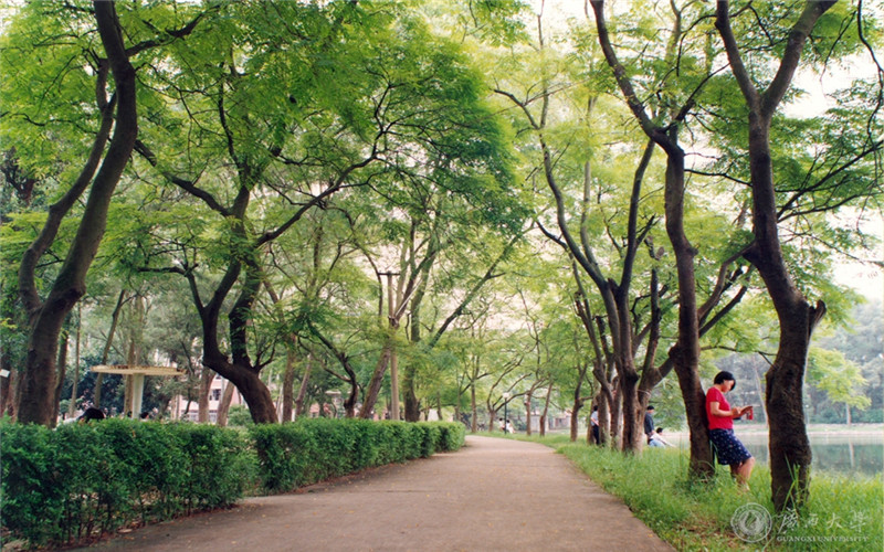 广西大学校园风景