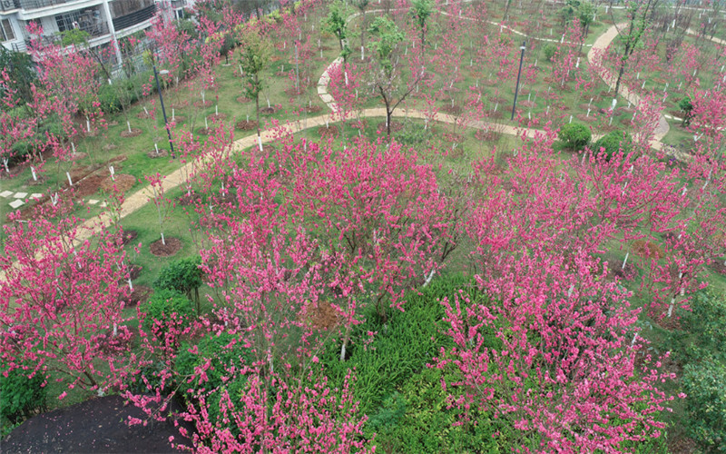 广西中医药大学校园风景