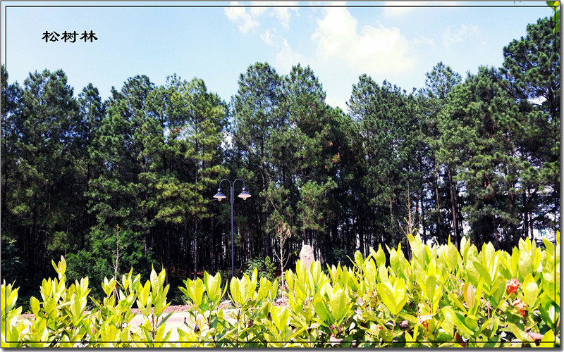 玉林师范学院校园风景