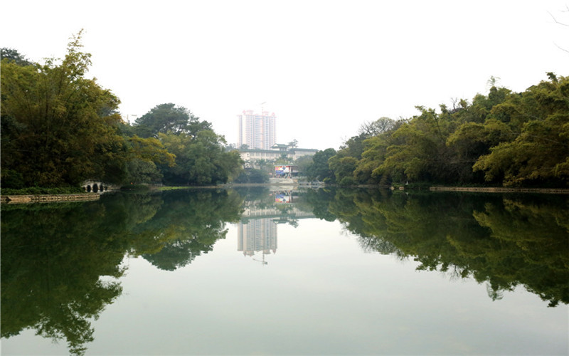 广西民族大学校园风景