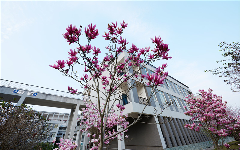 桂林信息科技学院校园风景