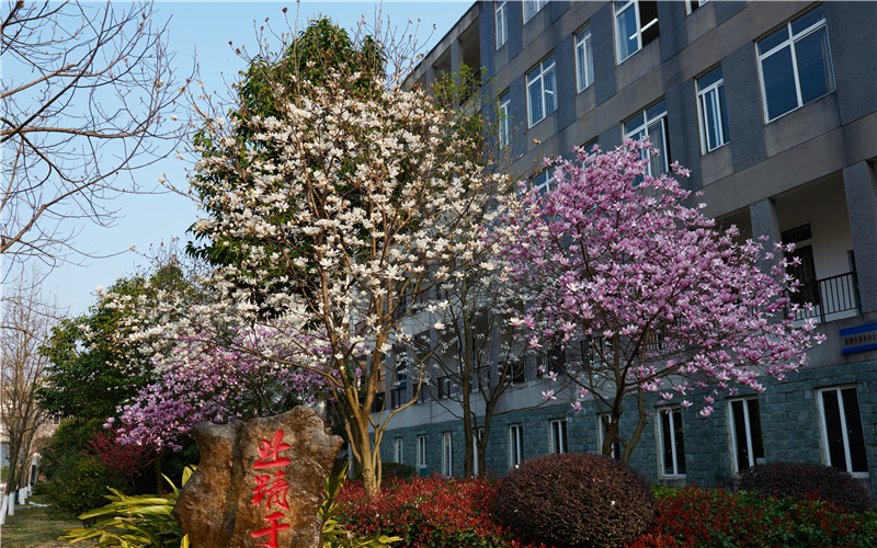 桂林信息科技学院校园风景