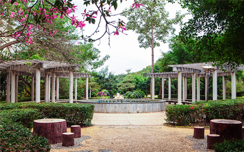 广西城市职业大学校园风景