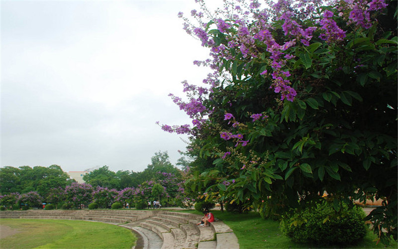 广西职业师范学院校园风景