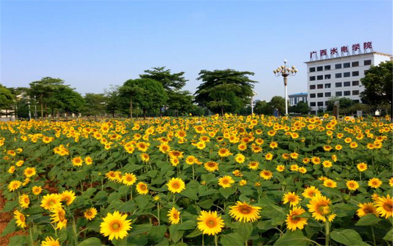 广西水利电力职业技术学院校园风景