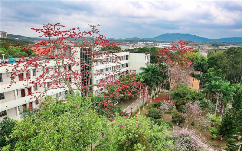 广西职业技术学院校园风景