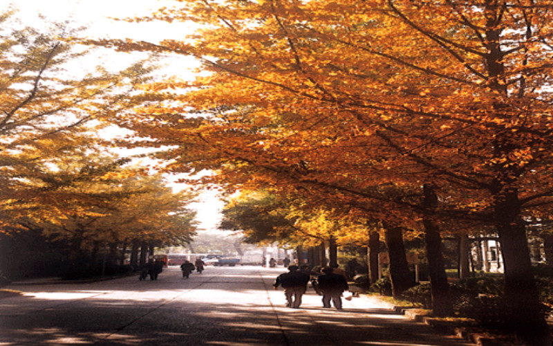 北京林业大学校园风景