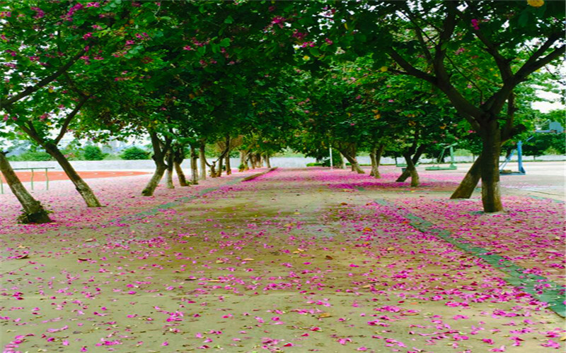 广西工程职业学院校园风景