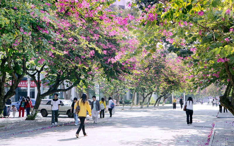 海南师范大学校园风景