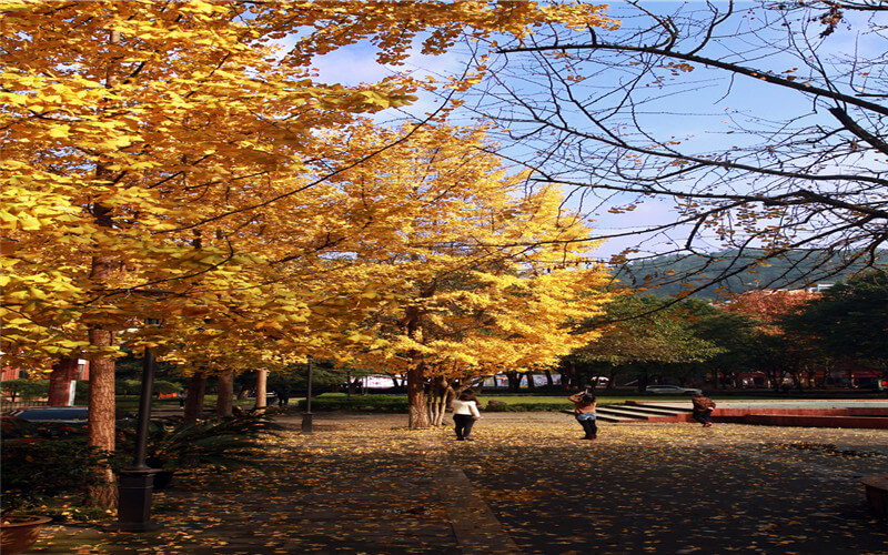 重庆邮电大学校园风景