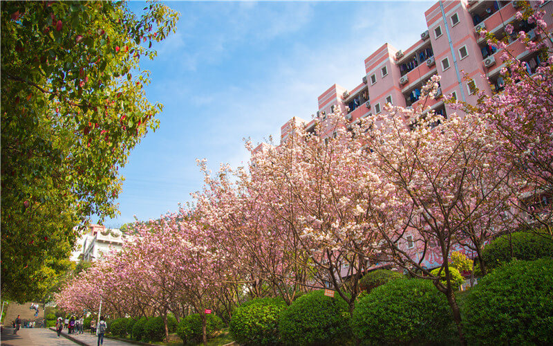 重庆邮电大学校园风景