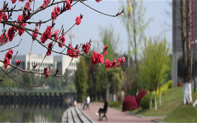 重庆交通大学校园风景