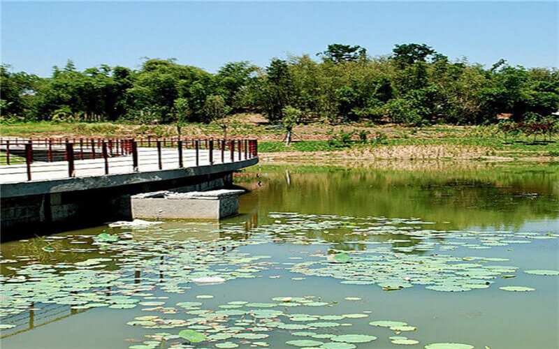 重庆交通大学校园风景