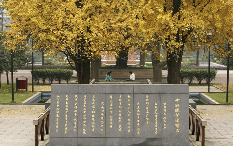 重庆医科大学校园风景