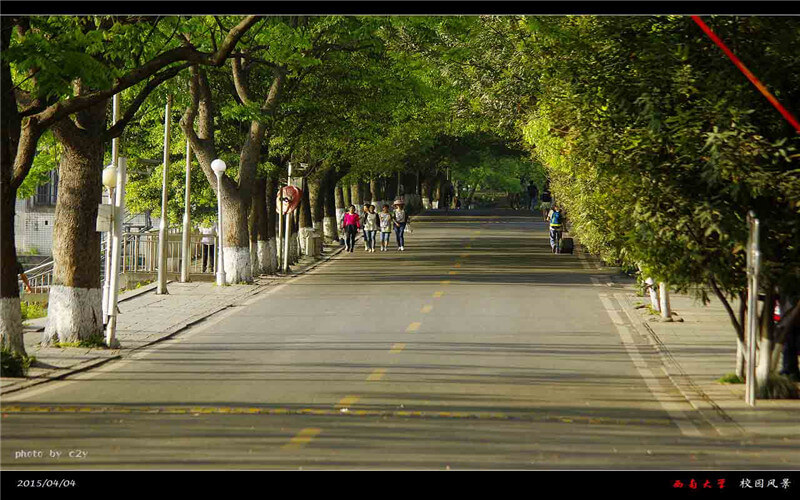 西南大学校园风景