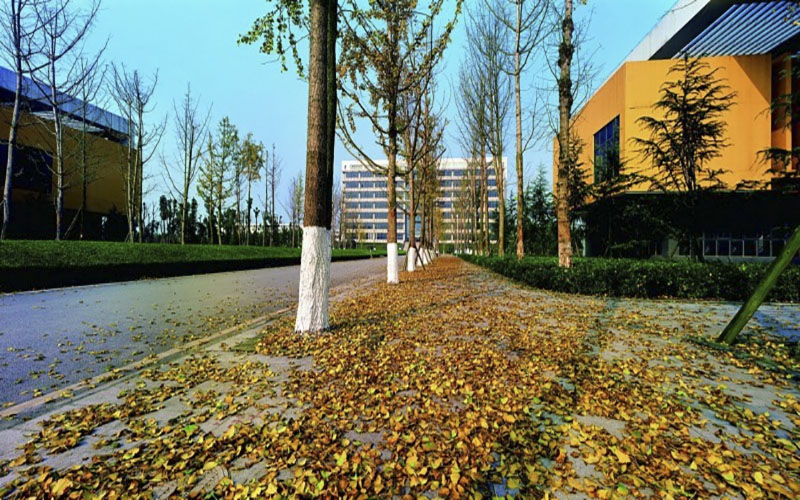 重庆科技学院校园风景