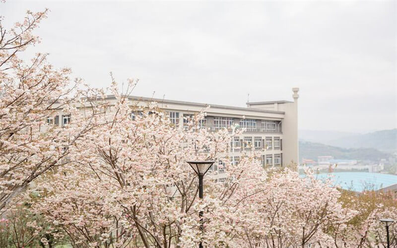 重庆外语外事学院校园风景