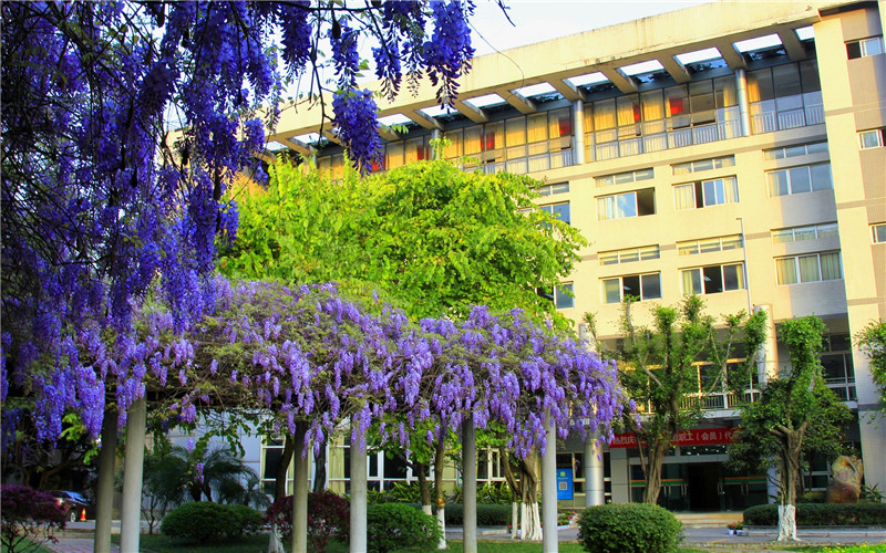 重庆电力高等专科学校校园风景