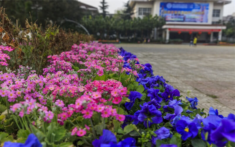 重庆海联职业技术学院校园风景