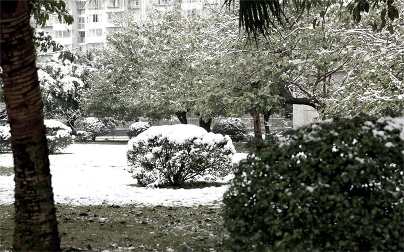 重庆海联职业技术学院校园风景