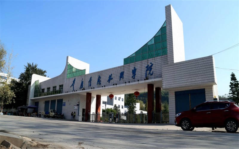 重庆信息技术职业学院校园风景