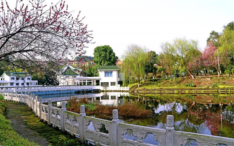 重庆信息技术职业学院校园风景