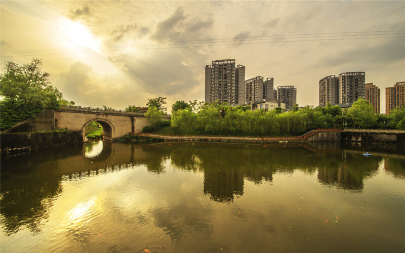 重庆城市管理职业学院校园风景
