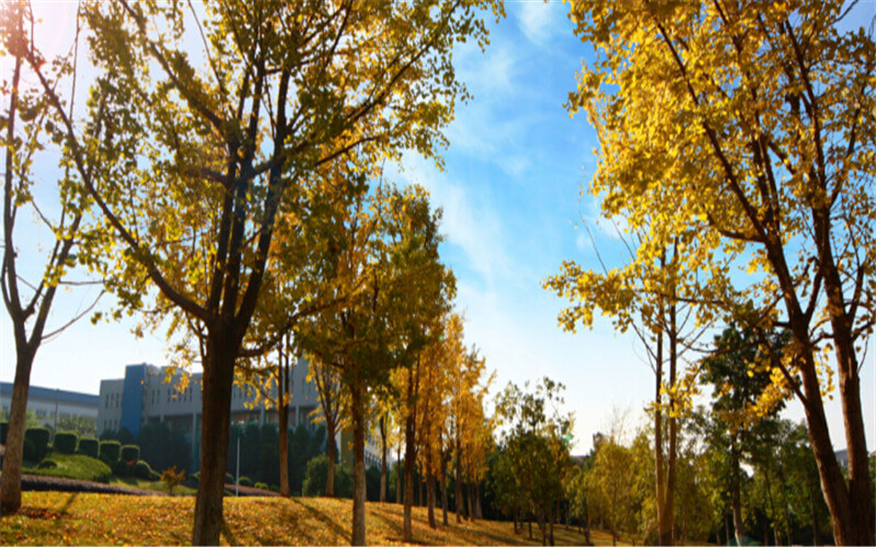 重庆三峡医药高等专科学校校园风景