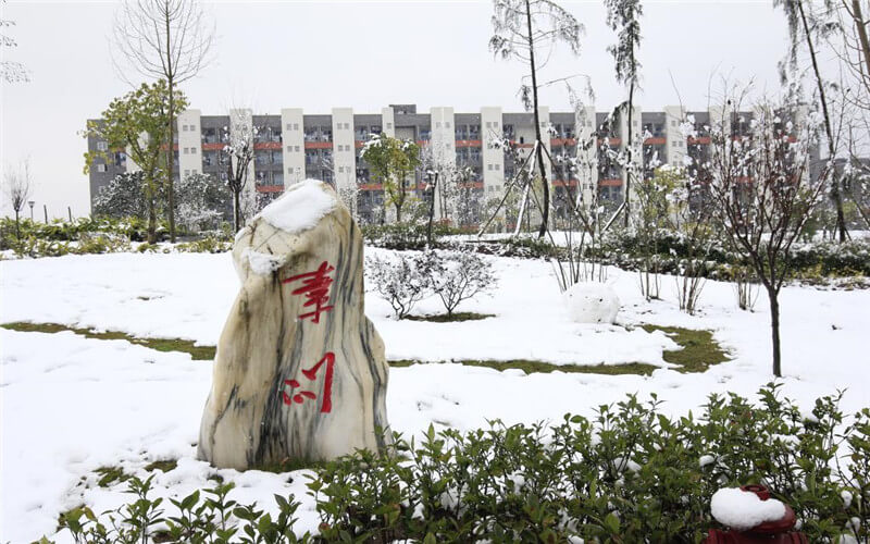 重庆医药高等专科学校校园风景