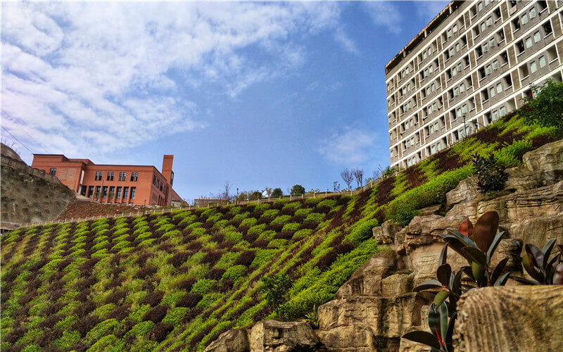 重庆建筑工程职业学院校园风景