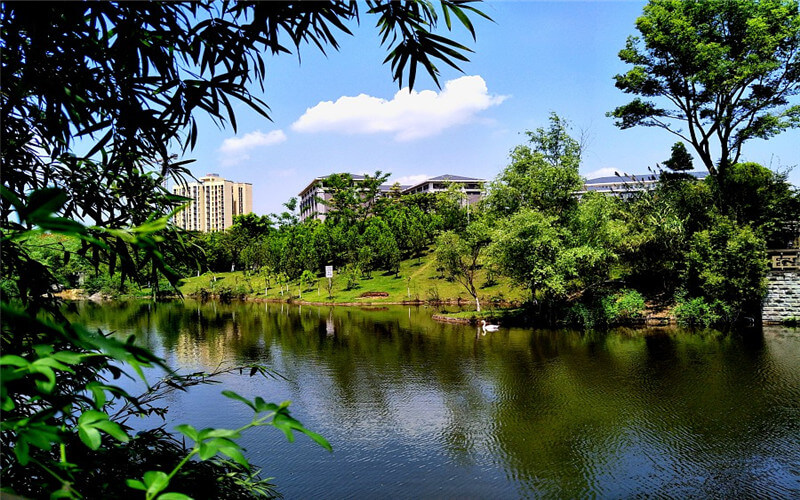 重庆能源职业学院校园风景