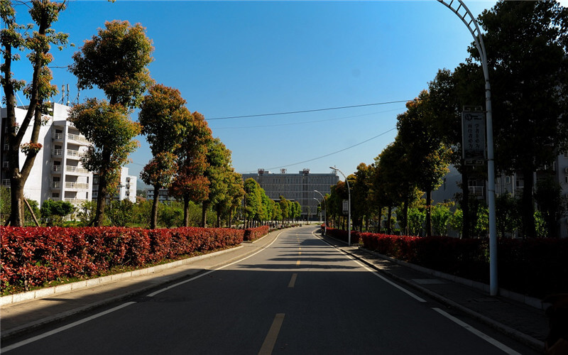 重庆旅游职业学院校园风景