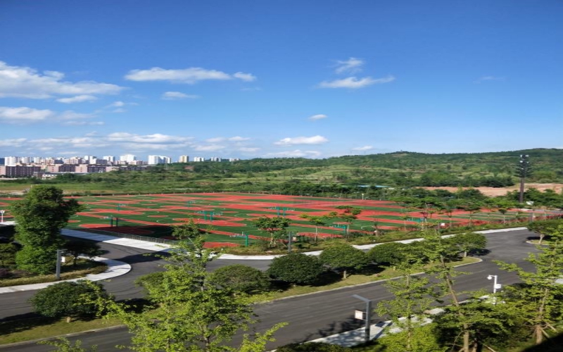 重庆健康职业学院校园风景