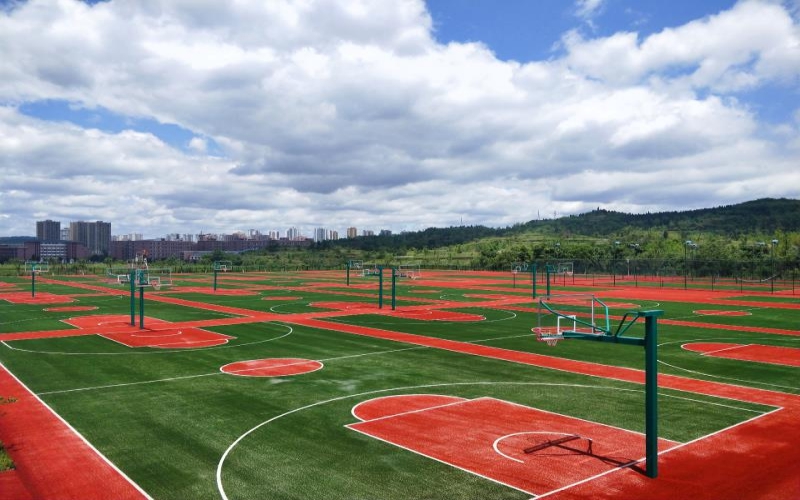 重庆健康职业学院校园风景