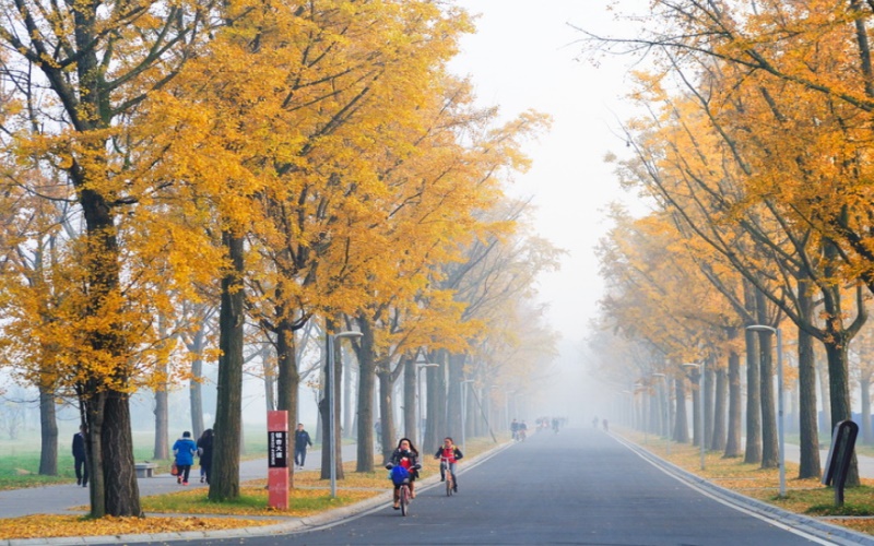 电子科技大学校园风景