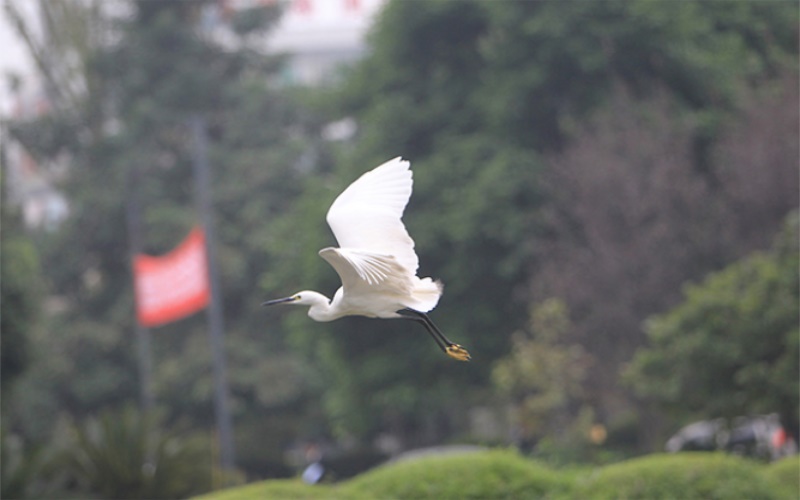 西南石油大学校园风景