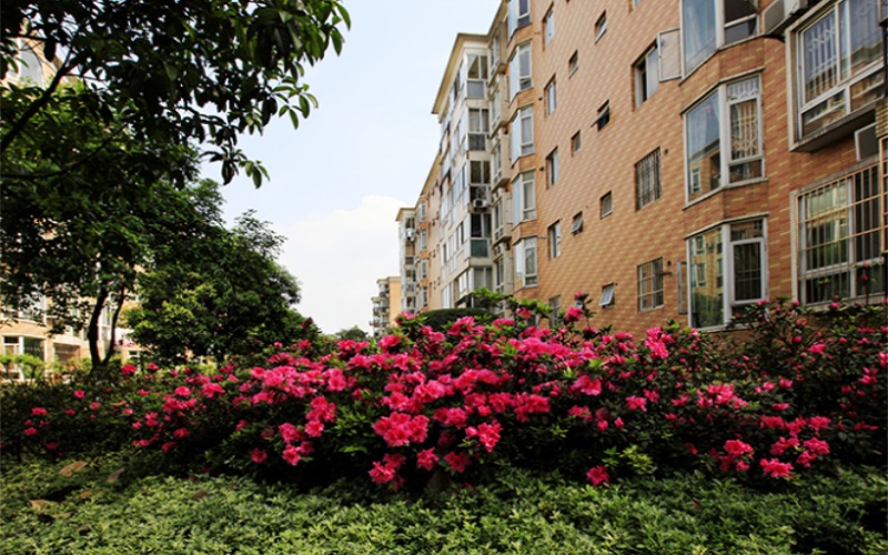 西南石油大学校园风景