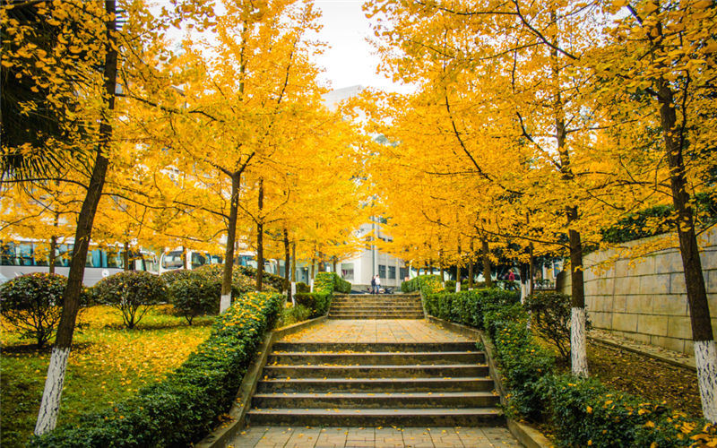 成都理工大学校园风景