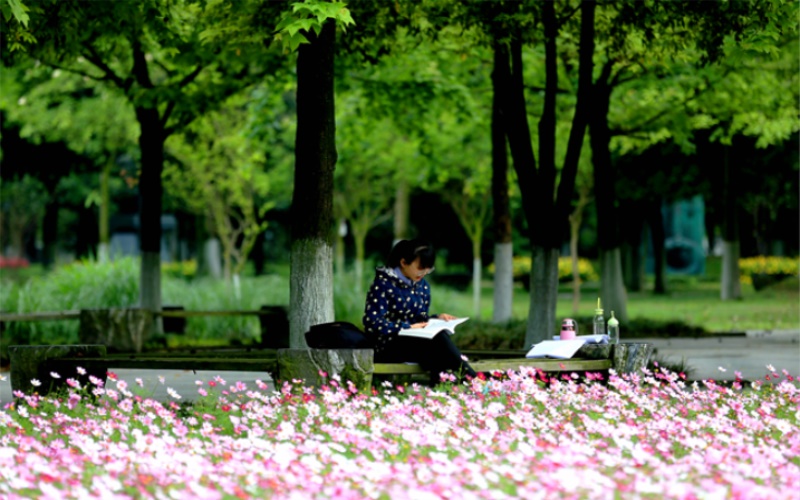 成都中医药大学校园风景