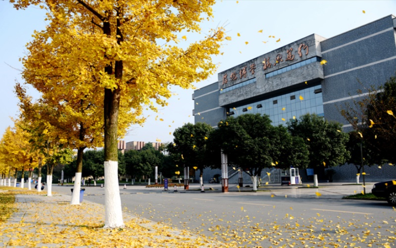 成都中医药大学校园风景