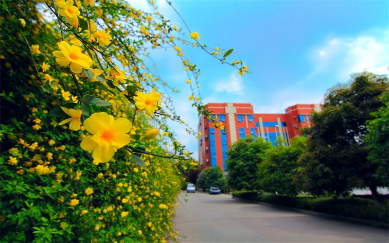 川北医学院校园风景