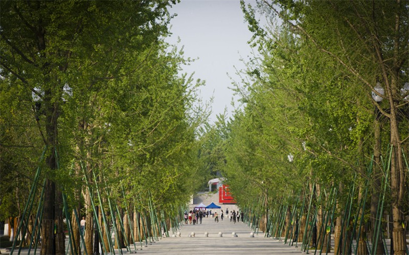 成都大学校园风景