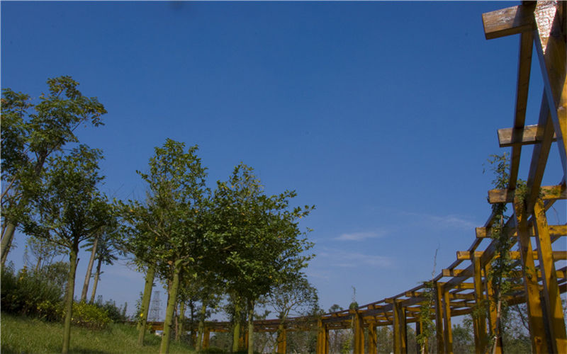 四川旅游学院校园风景