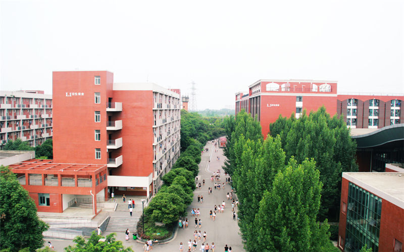 西南财经大学天府学院校园风景