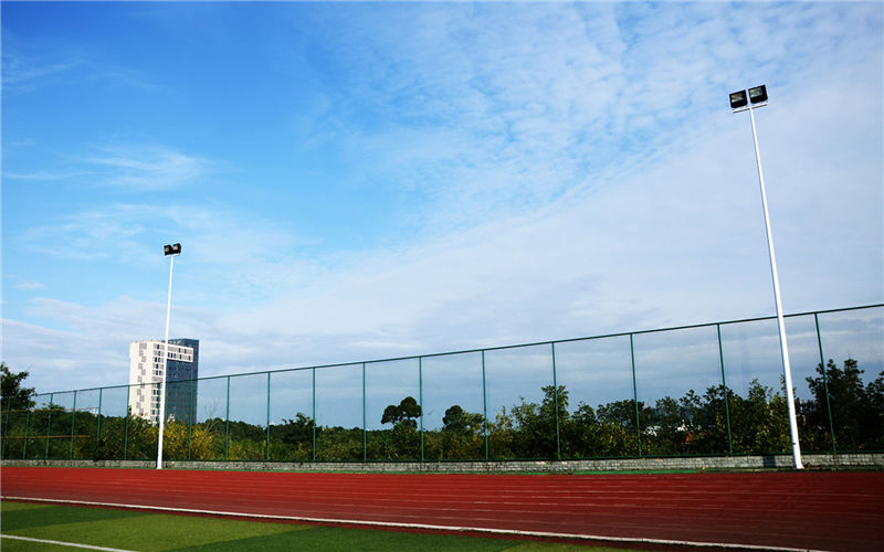 西南财经大学天府学院校园风景