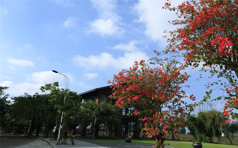 四川大学锦江学院校园风景