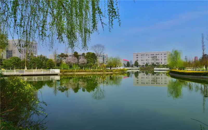 民办四川天一学院校园风景