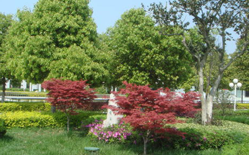 石家庄城市经济职业学院校园风景